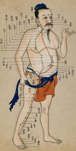 Acupuncture Chart